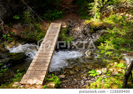 Wooden boardwalk over the stream in the forest summertime. 128889400