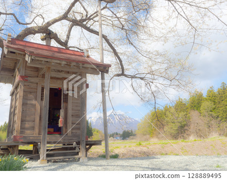 Hiroki Sakura和Iwateyama Hiroki Sakura和Iwateyama 128889495