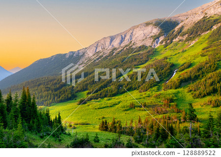 Alpine meadows and forest on mountain slopes in sunset light. Alpine meadows and forest on mountain slopes in sunset light. 128889522