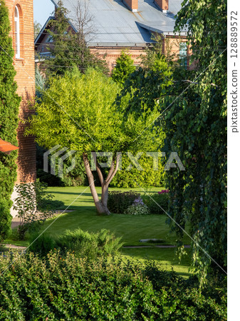 Backyard of a private house 128889572