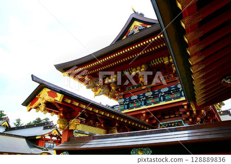 日本唯一的圓夢神、束縛神…稲敷“大杉神社” 日本唯一的圓夢神、束縛神…稲敷“大杉神社” 128889836