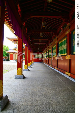 日本唯一的圓夢神、束縛神…稲敷“大杉神社” 128889838