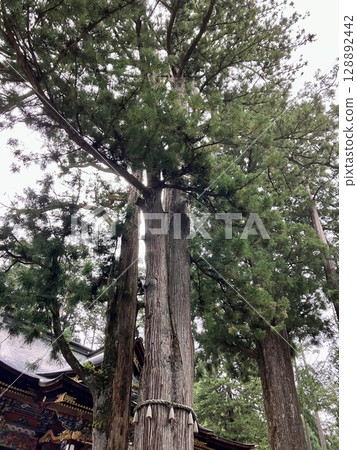 三鷹神社的三上神社 三鷹神社的三上神社 128892442
