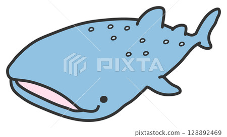 Cute little whale shark Cute little whale shark 128892469
