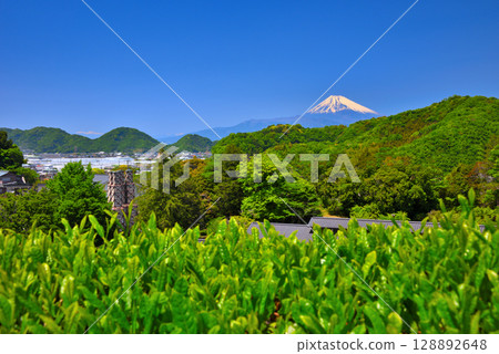 中部地區,韭山反射爐,從靜岡縣伊豆之國市茶園看到的反射爐和富士山的圖像(5) 中部地區,韭山反射爐,從靜岡縣伊豆之國市茶園看到的反射爐和富士山的圖像(5) 128892648