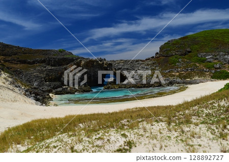 South Island fans South Island fans 128892727