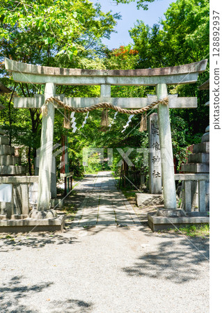 Torii at Munakata Shrine in Kyoto Gyoen in Kamigyo Ward, Kyoto 128892937