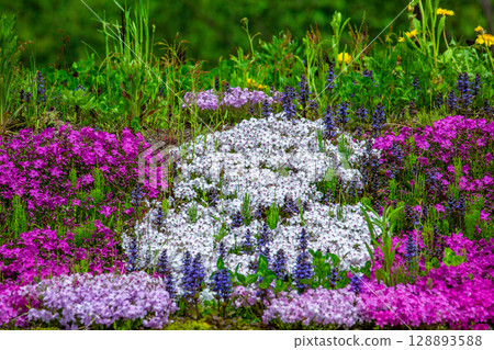 地面粉紅色 地面粉紅色 128893588