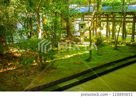 [Kyoto Scenery] Ryoanji Temple: The Mysterious Shichigosan Rock Garden 128893651