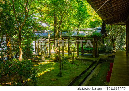 【京都風光】龍安寺:神秘的七五山石庭 【京都風光】龍安寺:神秘的七五山石庭 128893652