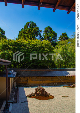 [Kyoto Scenery] Ryoanji Temple: The Mysterious Shichigosan Rock Garden 128893676