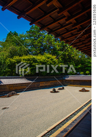 [Kyoto Scenery] Ryoanji Temple: The Mysterious Shichigosan Rock Garden 128893686