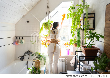Woman in rubber gloves and apron manually washes window of house in bathroom with rag cleaner and mop inside interior with home plants. Restoring order and cleanliness, cleaning servise 128893911
