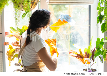 Woman in rubber gloves and apron close-up manually washes window of house with rag cleaner and mop inside interior with home plants on windowsill. Restoring order and cleanliness, cleaning servise Woman in rubber gloves and apron close-up manually washes window of house with rag cleaner and mop inside interior with home plants on windowsill. Restoring order and cleanliness, cleaning servise 128893916