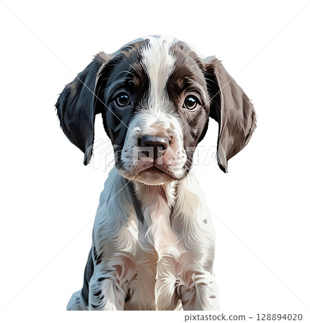 Cutout illustration of an English pointer puppy with a puzzled expression 128894020