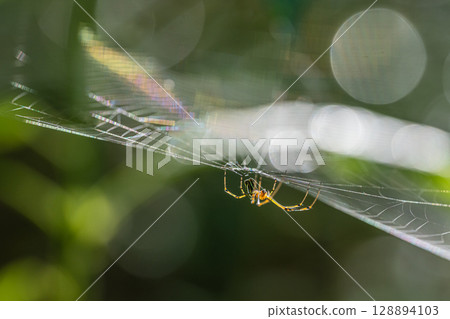 勒考格虛張聲勢 勒考格虛張聲勢 128894103