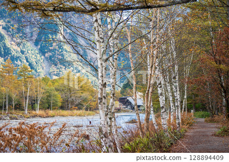 "Nagano Prefecture" Beautiful autumn scenery of Kamikochi, Azusa River and Kappa Bridge 128894409