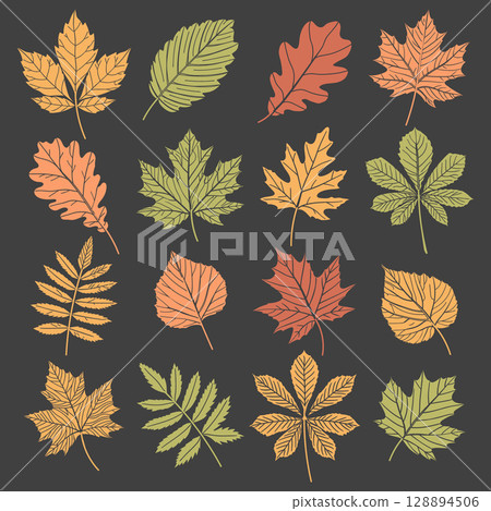 Set of autumn leaves. Collection of autumn leaves of different colors on a dark background. Illustration. 128894506