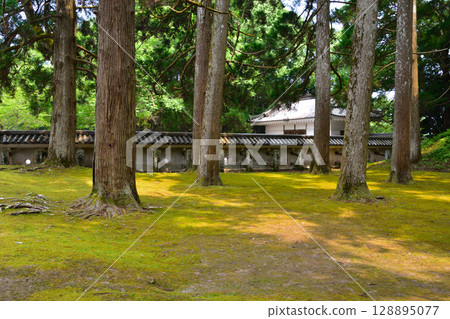 Obi Castle Obi Cedar Forest Obi Castle Obi Cedar Forest 128895077