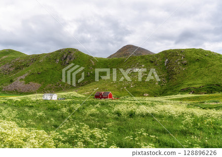 Grassy meadows near Uttakleiv beach 128896226