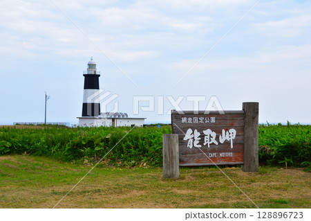 Nogi Cape Lighthouse Nogi Cape Lighthouse 128896723