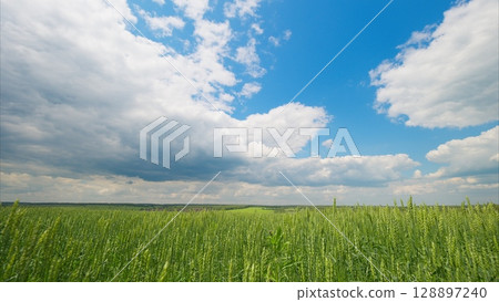 Lush Green Fields are Spread Across the Land Under a Beautiful Cloudy Sky Natures Beauty 128897240