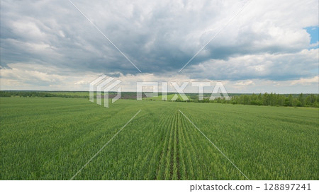 Expansive Green Fields Spreading Beneath a Dramatic and Cloudy Sky Full of Wonder Expansive Green Fields Spreading Beneath a Dramatic and Cloudy Sky Full of Wonder 128897241