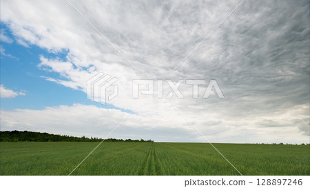 An Expansive Green Field Stretching Out Beneath a Dramatic and Cloudy Sky Above It All 128897246