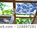 Goldfish's wind chimes 128897281