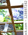 Goldfish's wind chimes 128897282