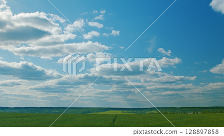 A Serene Blue Sky stretches Over Expansive Lush Green Fields, creating a Blissful Scene A Serene Blue Sky stretches Over Expansive Lush Green Fields, creating a Blissful Scene 128897858