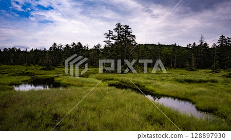 Ukishima Marsh, Hokkaido, Nature, Outdoors, Kamikawa Town, Hokkaido Ukishima Marsh, Hokkaido, Nature, Outdoors, Kamikawa Town, Hokkaido 128897930