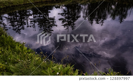 Ukimikuri, Matsuyama Marsh, Bifuka Town, Hokkaido, Nature, Outdoor, Plants, Hidden Land Ukimikuri, Matsuyama Marsh, Bifuka Town, Hokkaido, Nature, Outdoor, Plants, Hidden Land 128897997