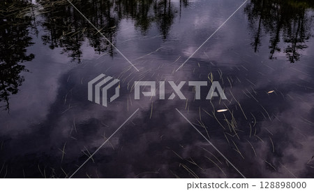 Ukimikuri, Matsuyama Marsh, Bifuka Town, Hokkaido, Nature, Outdoor, Plants, Hidden Land Ukimikuri, Matsuyama Marsh, Bifuka Town, Hokkaido, Nature, Outdoor, Plants, Hidden Land 128898000