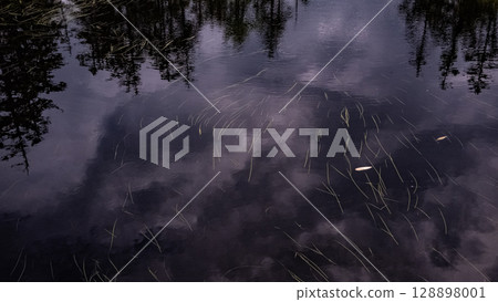 Ukimikuri, Matsuyama Marsh, Bifuka Town, Hokkaido, Nature, Outdoor, Plants, Hidden Land Ukimikuri, Matsuyama Marsh, Bifuka Town, Hokkaido, Nature, Outdoor, Plants, Hidden Land 128898001