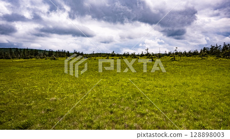 Ukimikuri, Matsuyama Marsh, Bifuka Town, Hokkaido, Nature, Outdoor, Plants, Hidden Land 128898003