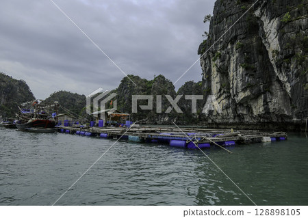 Vietnam, Floating houses, Vung Vieng fishing village, Ha Long Bay, Bai Tu Long area. Vietnam, Floating houses, Vung Vieng fishing village, Ha Long Bay, Bai Tu Long area. 128898105