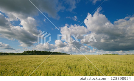 A Beautiful and Serene Landscape Featuring a Golden Wheat Field Under Dramatic Clouds Above A Beautiful and Serene Landscape Featuring a Golden Wheat Field Under Dramatic Clouds Above 128898934