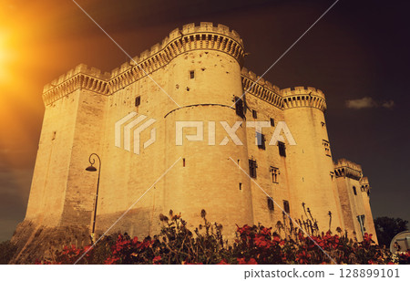 Chateau de Tarascon, France 128899101