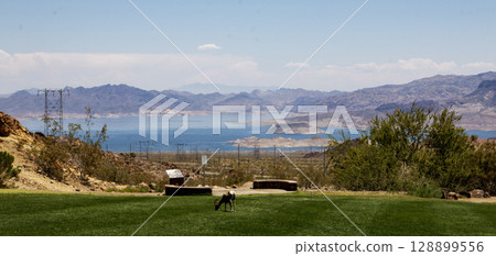Scenic View of Lake Mead From Hemenway Park with on Bighorn Sheep grazing 128899556