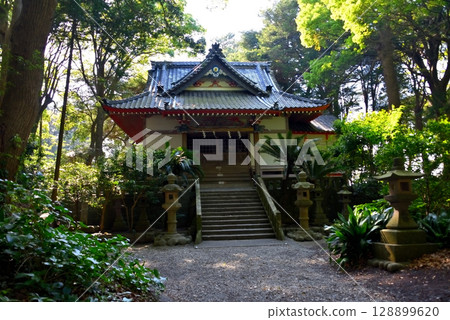 中部地區伊豆半島美濱岬諸口神社位於靜岡縣沼津市戶田町寧靜而莊嚴的境內(2) 中部地區伊豆半島美濱岬諸口神社位於靜岡縣沼津市戶田町寧靜而莊嚴的境內(2) 128899620
