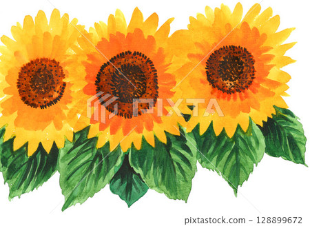 Sunflowers painted in watercolor 25726pix7 Sunflowers painted in watercolor 25726pix7 128899672