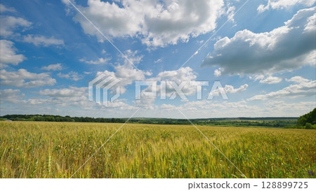 Serene Fields Under a Beautifully Clear Sky Witness Stunning Natural Beauty in Full View 128899725