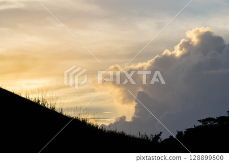Wrapped in sunset 128899800