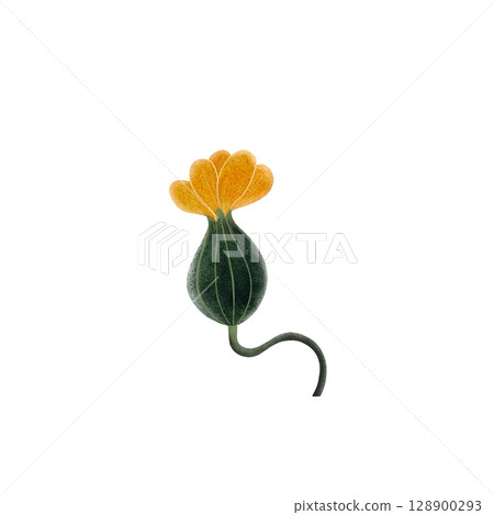 A watercolor illustration of a bright yellow, partially opened watermelon flower bud on a white background. This delicate and vibrant artwork highlights the intricate details and freshness, perfect 128900293
