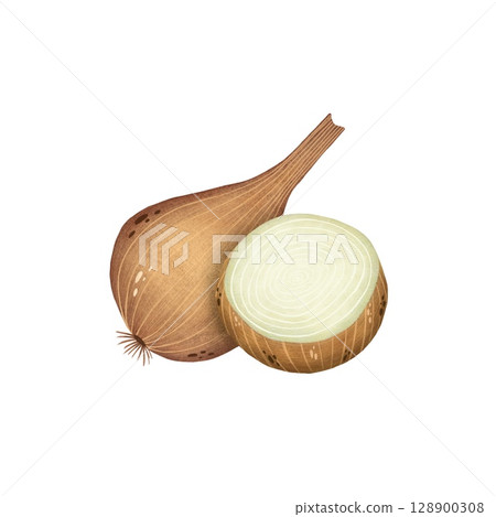 Watercolor illustration of a whole yellow onion and a halved onion on a white background. Rustic and versatile, perfect for culinary designs, cooking illustrations, and farm-to-table themes. Hand 128900308