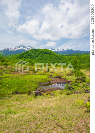 Early summer at the pond and Mt. Norikura [Ichinose Garden] 128900309