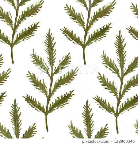 Seamless watercolor pattern of green poppy leaves on a white background. Natural and refreshing, perfect for botanical designs, spring themes, and nature-inspired projects. Hand-painted and detailed 128900340