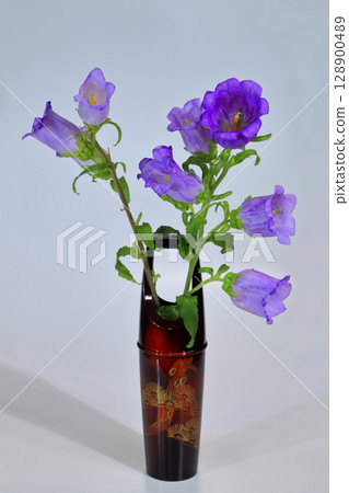 A vase of bellflower A vase of bellflower 128900489