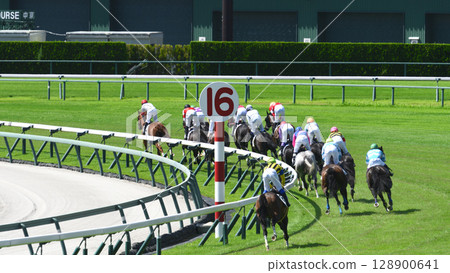 盛夏的中京賽馬場 128900641